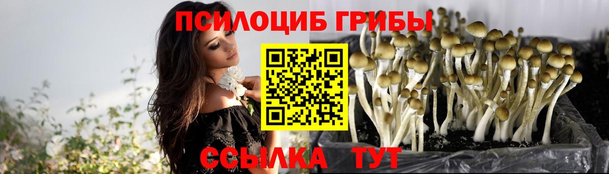 Псилоцибиновые грибы Magic Shrooms Гагарин